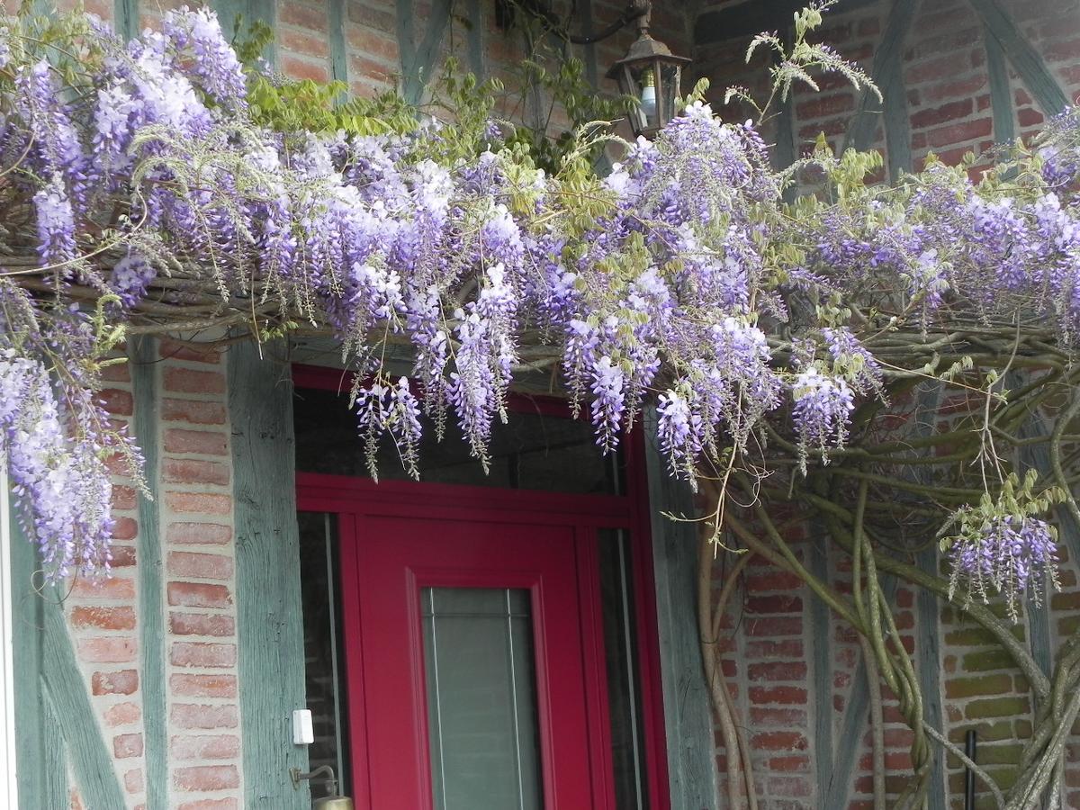 Bed and Breakfast L'Escapade Foulbec Exterior foto